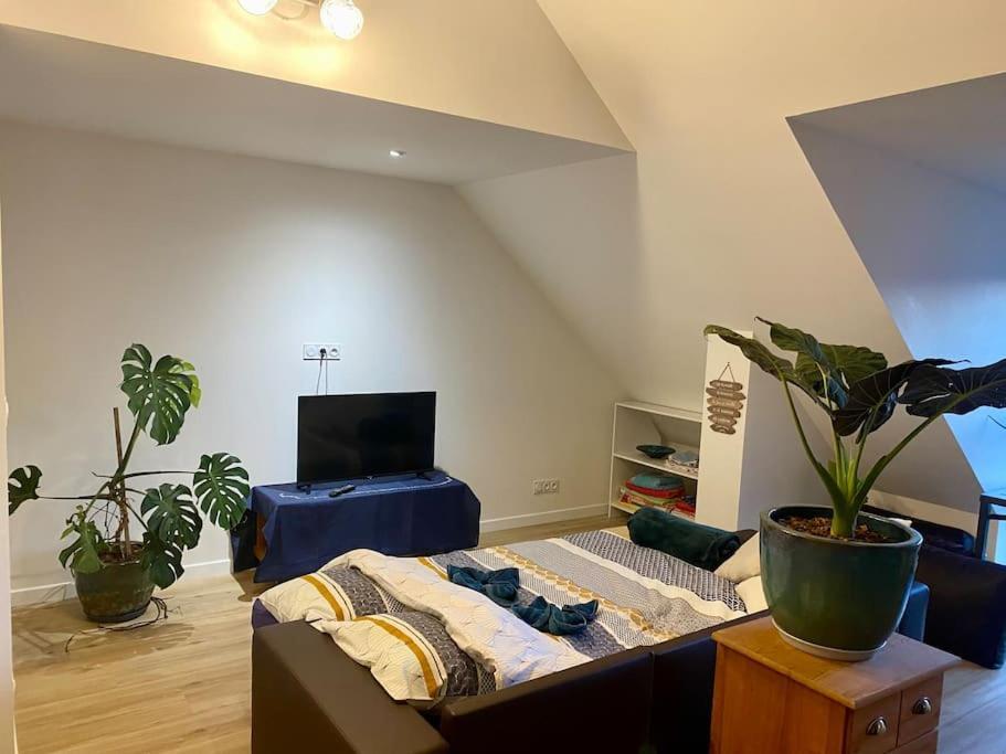 Les Sept Iles Apartment บาดอง ภายนอก รูปภาพ